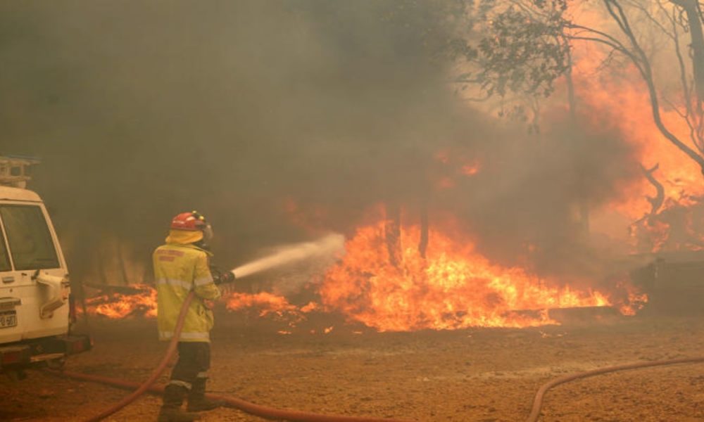 Wildfire Survivors, Experts Urge Congressional Action Ahead of Fire Season