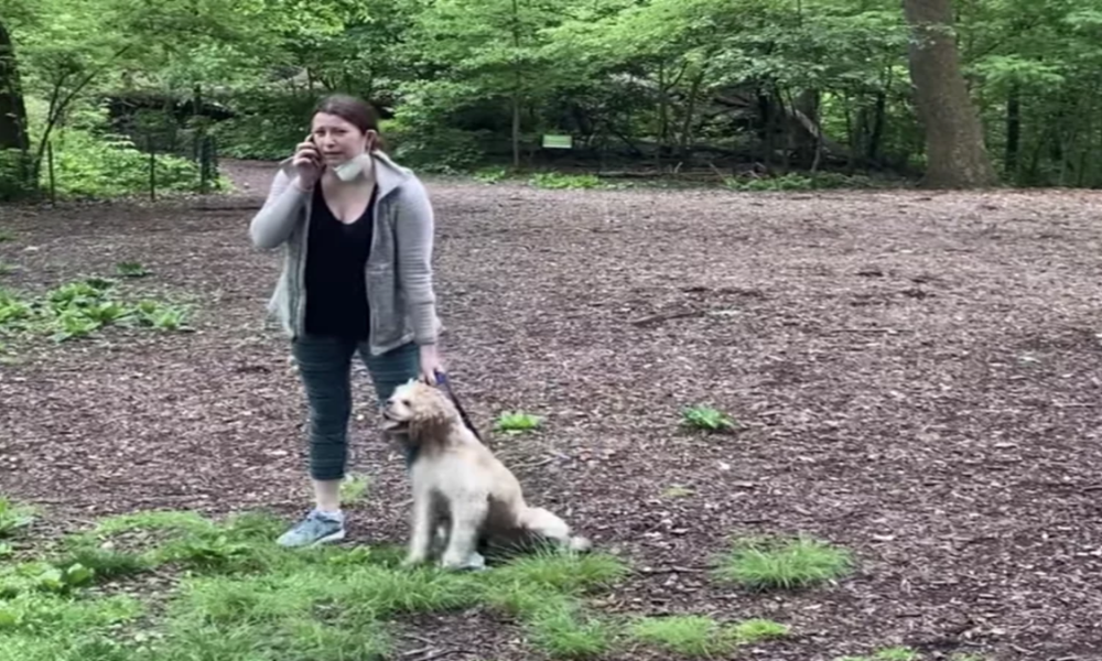 NY White Woman Amy Cooper is Suing her Former Employer after she was Fired for Calling 911 on a Black Bird Watcher